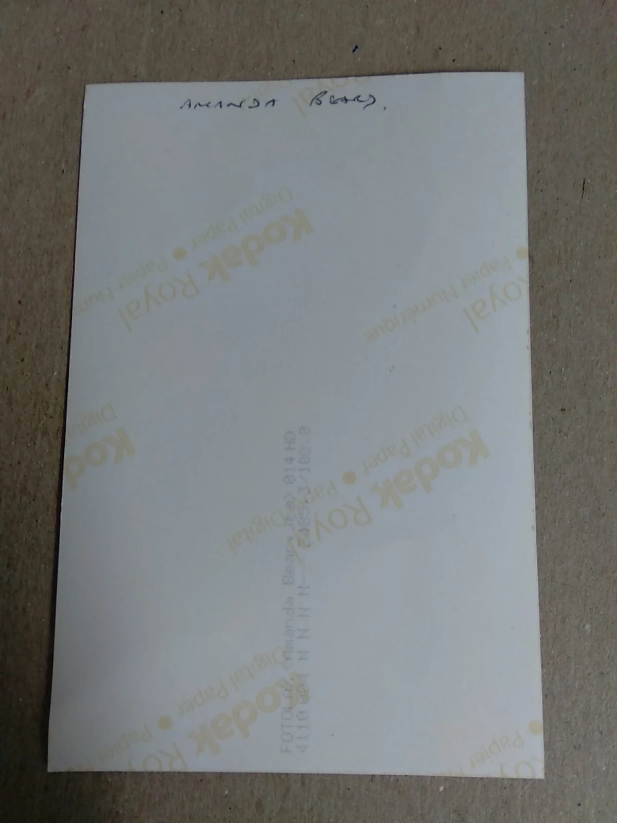 Amanda Bear Autograph 6x4in Photo, image 3