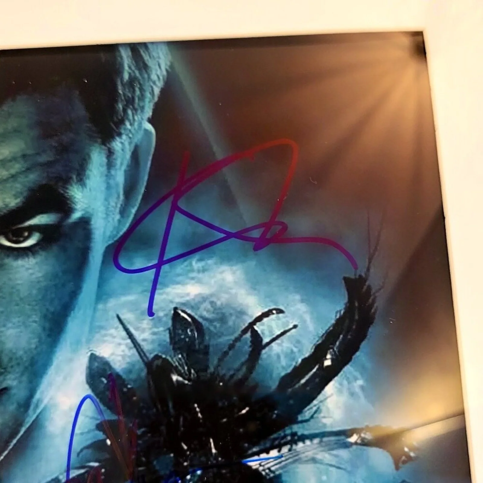 Rare Star Trek Cast Signed Autograph11X14 Framed & Matted COA, Pine Urban, Quint, image 3