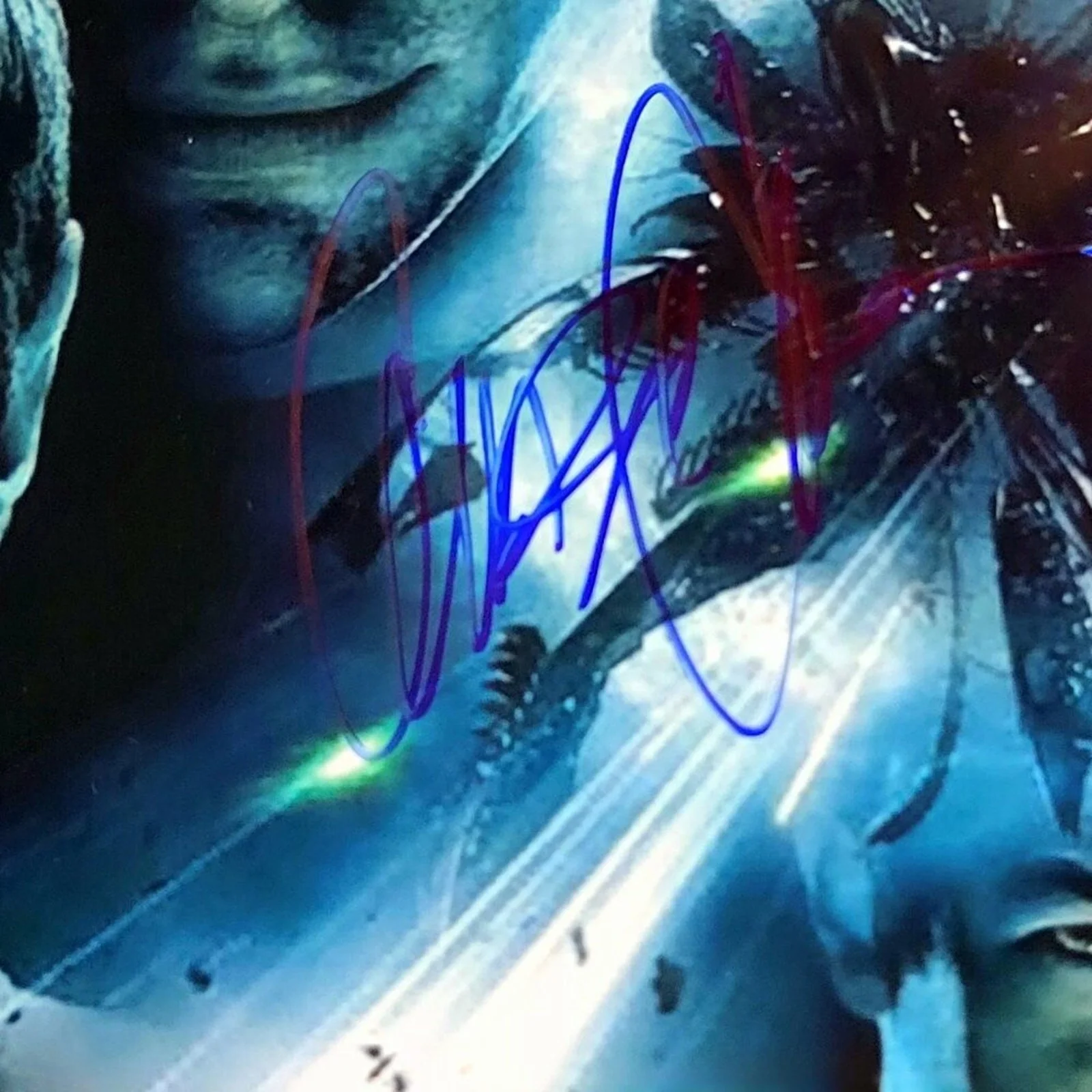 Rare Star Trek Cast Signed Autograph11X14 Framed & Matted COA, Pine Urban, Quint, image 4