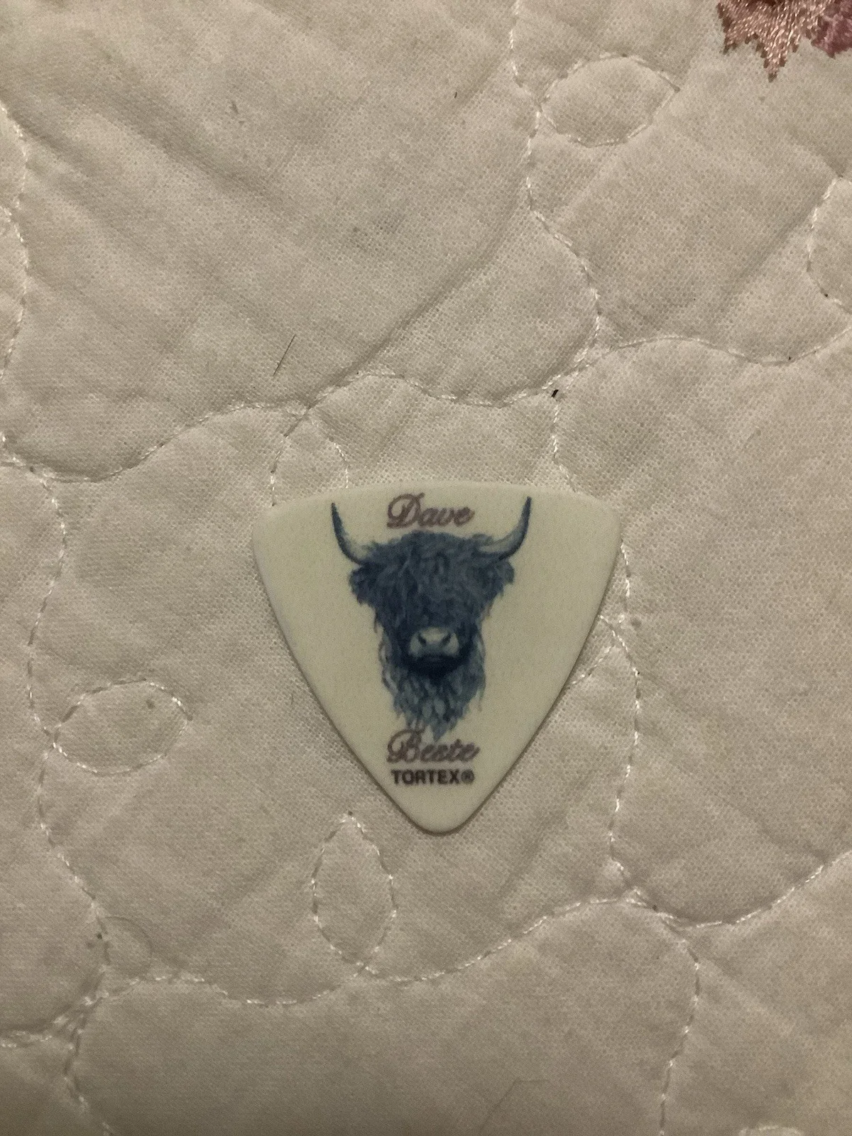 Rival Sons Guitar Pick, изображение 2