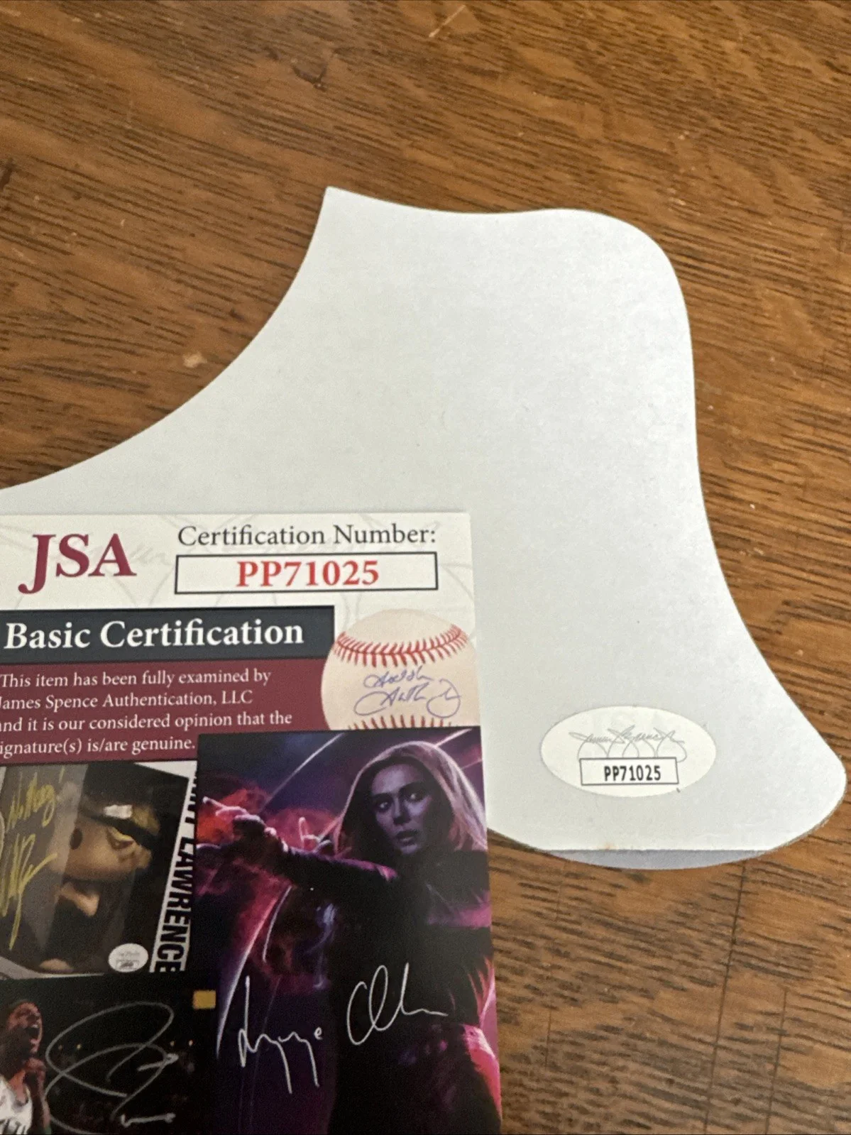 Billy Squier Signed Autographed Pick Guard JSA PP71025, image 4