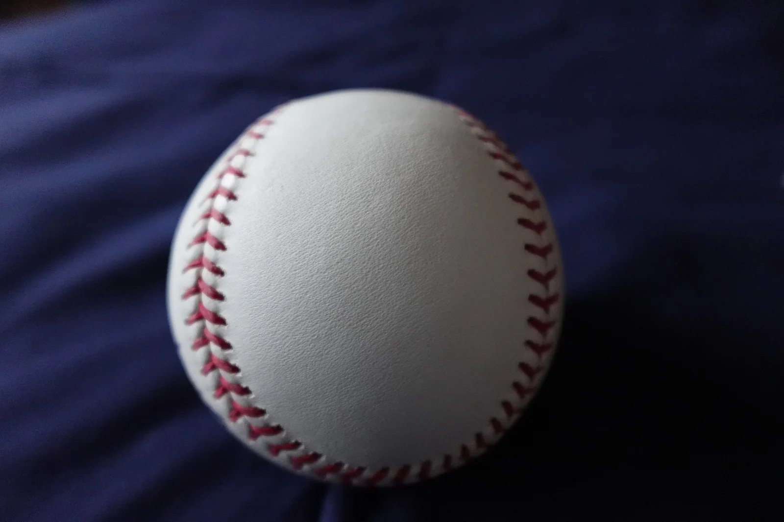 Sophia Loren Autographed MLB Baseball Italian Movie Actress JSA COA, изображение 5
