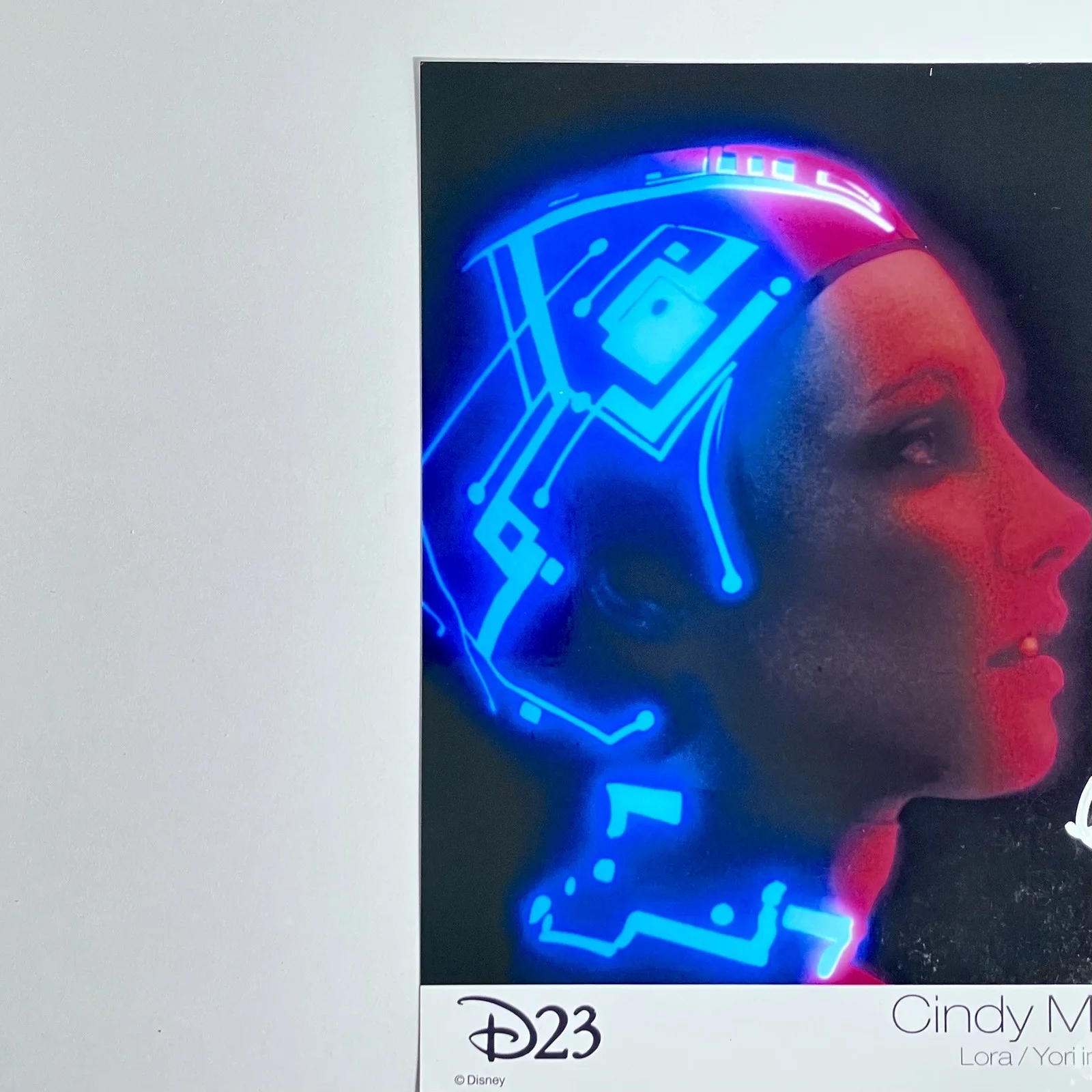 Cindy Morgan — TRON Signed 8x10 / CINDY MORGAN (1951-2023) as Yori / OFFICIAL D23 Disney Photo, изображение 3