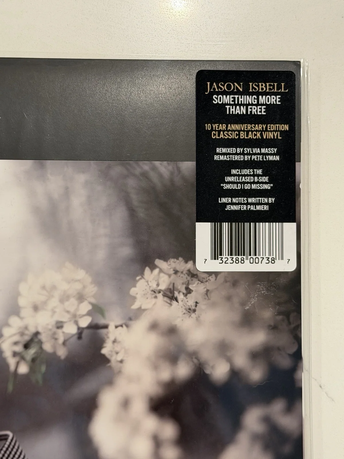 Jason Isbell Signed Something More Than Free Vinyl Record LP *ON COVER* LIMITED, image 4
