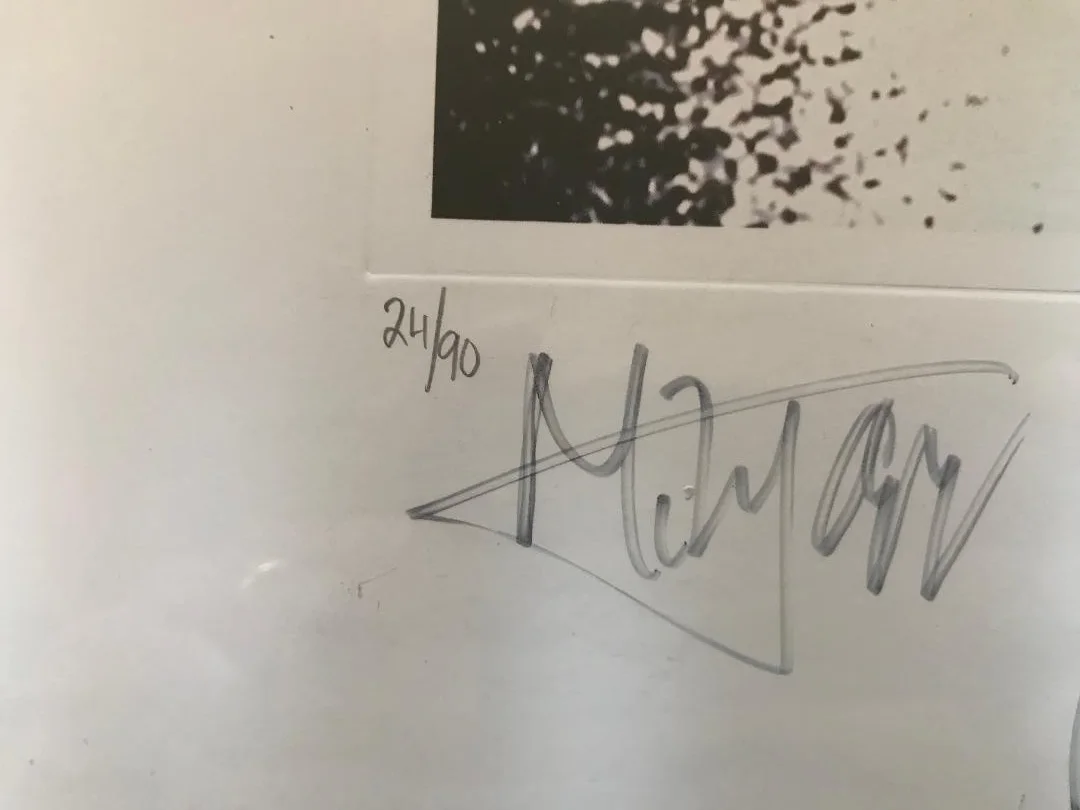 ROLLING STONES FULLY SIGNED 94' VOODOO LOUNGE LITHOGRAPH 24/90 GUARANTEED AUTHEN, image 4