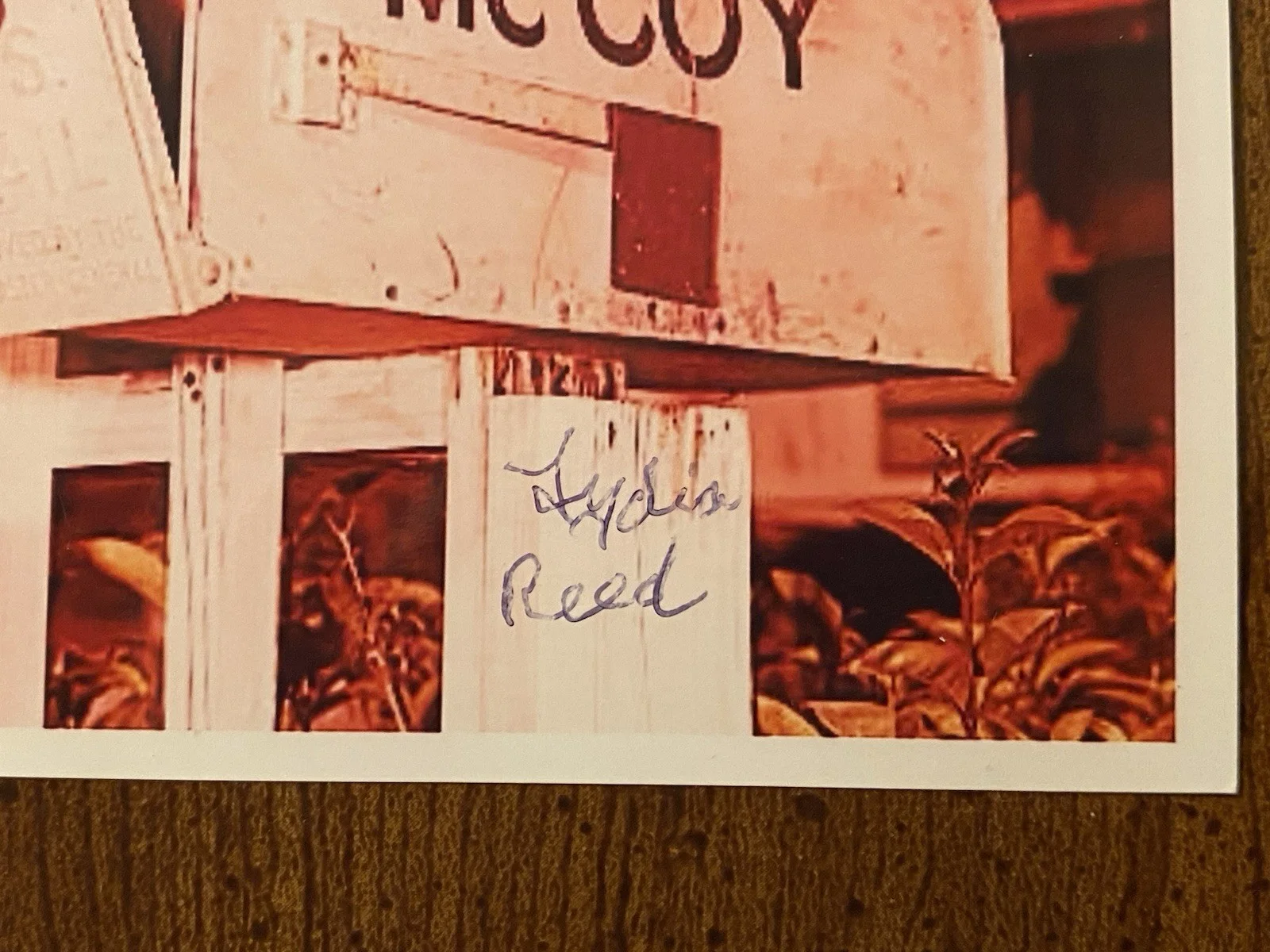 Lydia Reed — Lydia Reed Signed Autographed Photo Hassie McCoy The Real McCoys, изображение 2