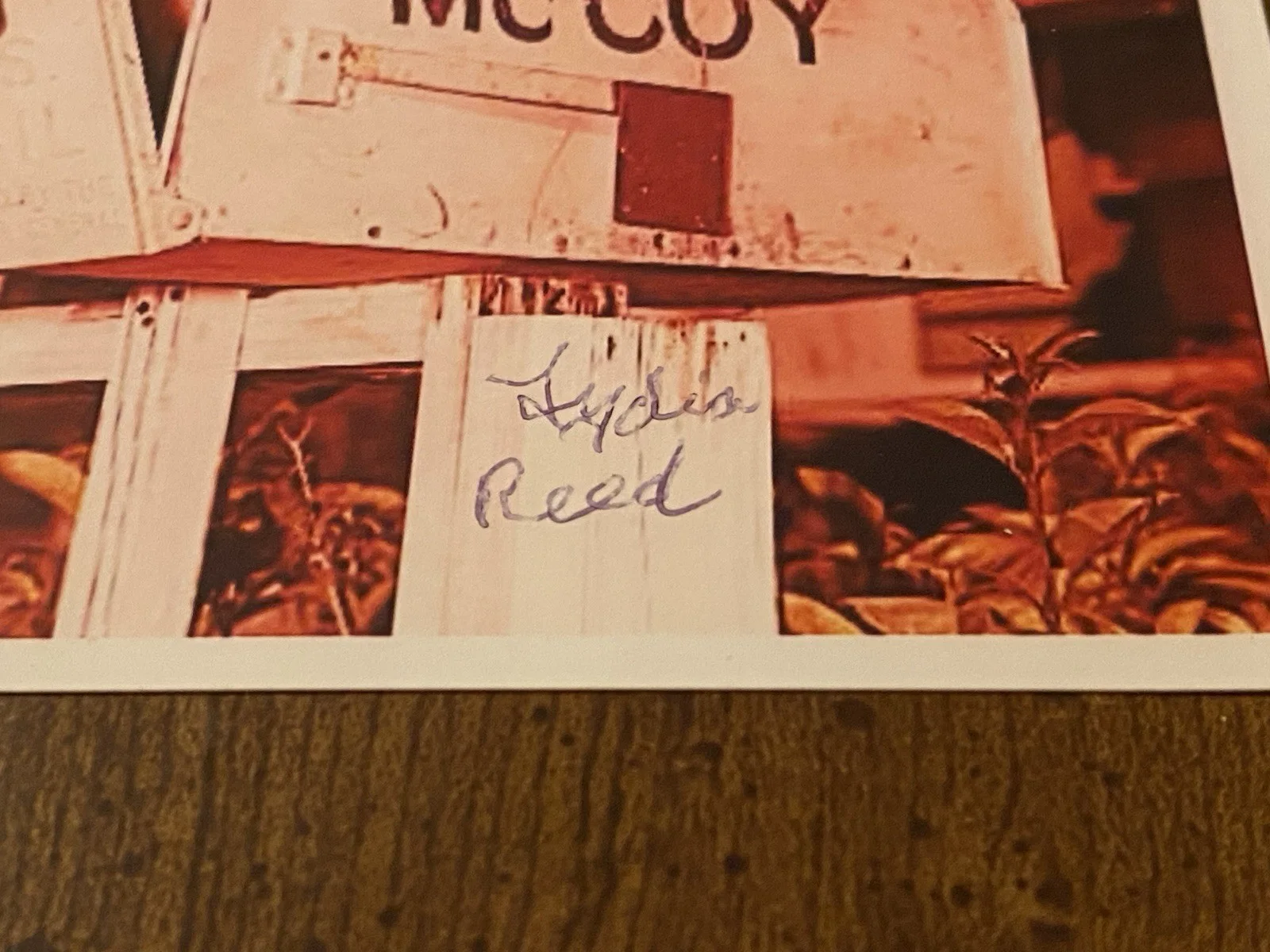 Lydia Reed — Lydia Reed Signed Autographed Photo Hassie McCoy The Real McCoys, изображение 3