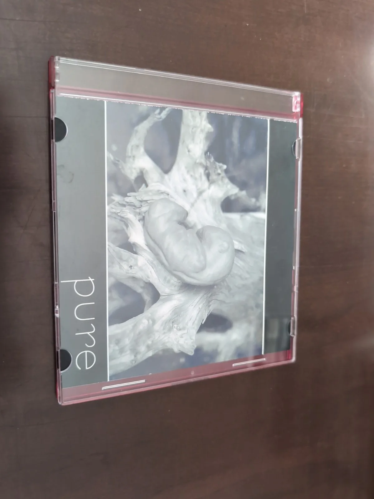 Shannon Matter Pure Signed CD Rare 2005 BC Artist, image 2