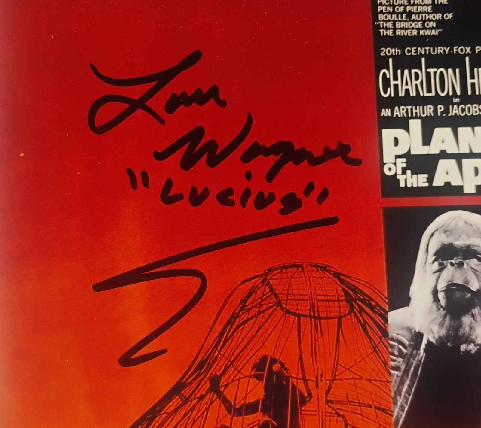 Linda Harrison & Lou Wagner Signed Photo JSA COA Planet Of The Apes NO TARIFFS, изображение 3