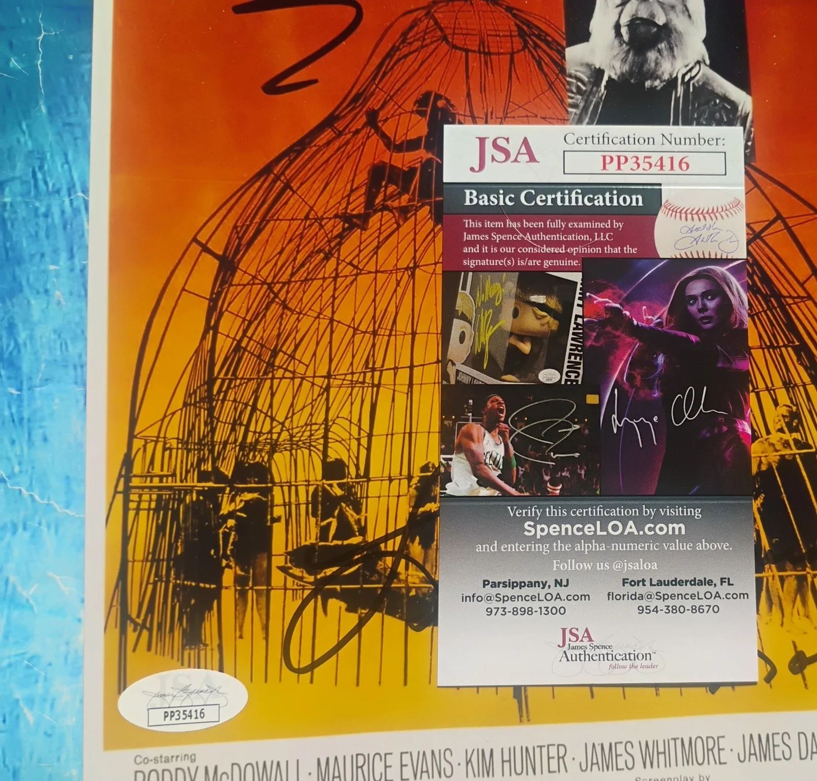 Linda Harrison & Lou Wagner Signed Photo JSA COA Planet Of The Apes NO TARIFFS, изображение 5