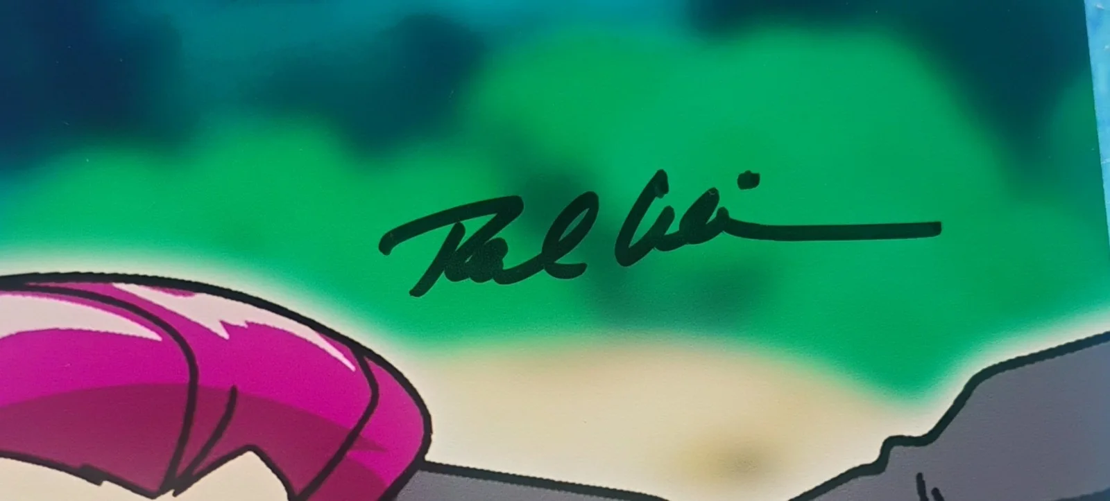 Rachael Lillis & Eric Stuart Hand Signed Photo JSA COA Team Rocket NO US TARIFF, изображение 4