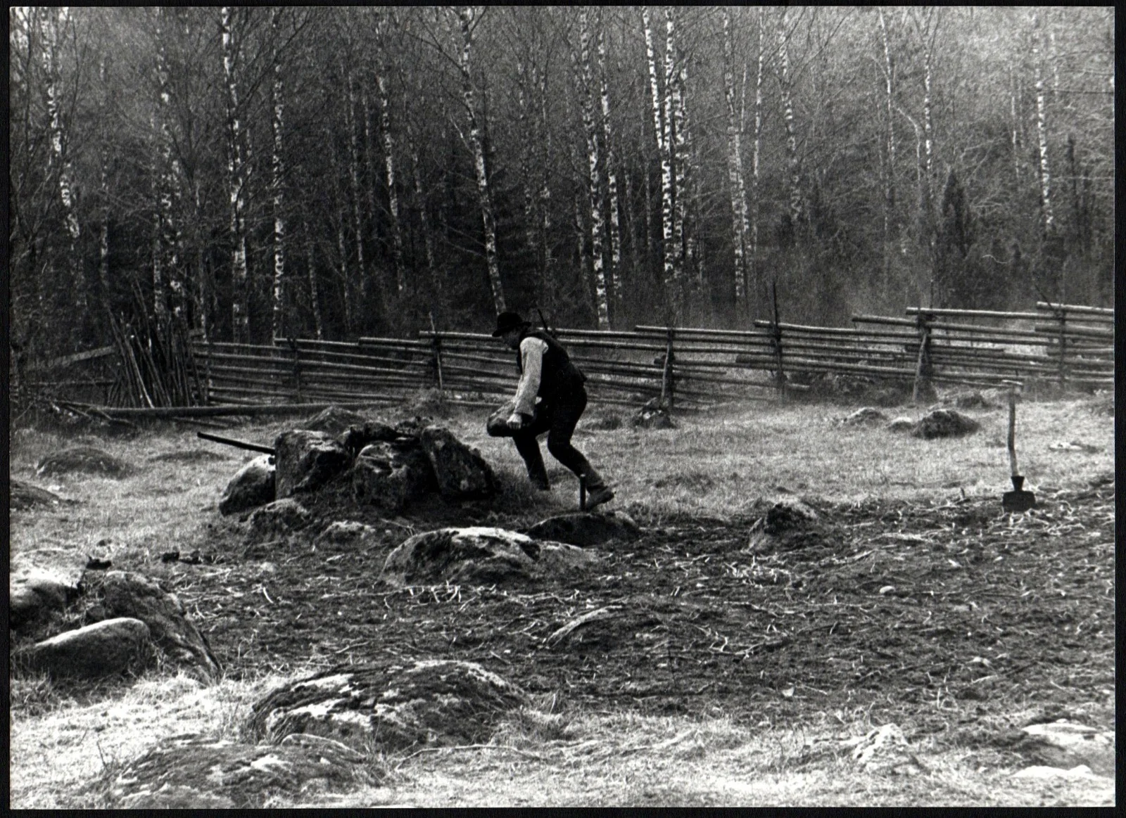 EMIGRANTS 1971 Max Von Sydow, Liv Ullmann, Eddie Axberg 4 ORIGINAL STILLS, изображение 4