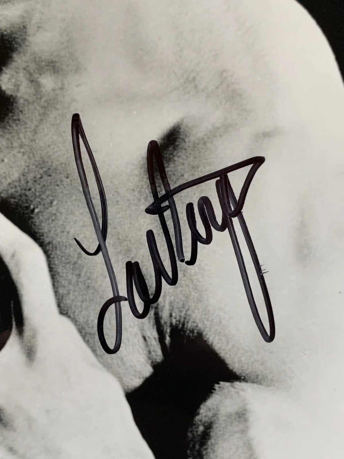 Lou Ferrigno — LOU FERRIGNO "Hulk" signed B&W photo, with COA, 8x10, изображение 2