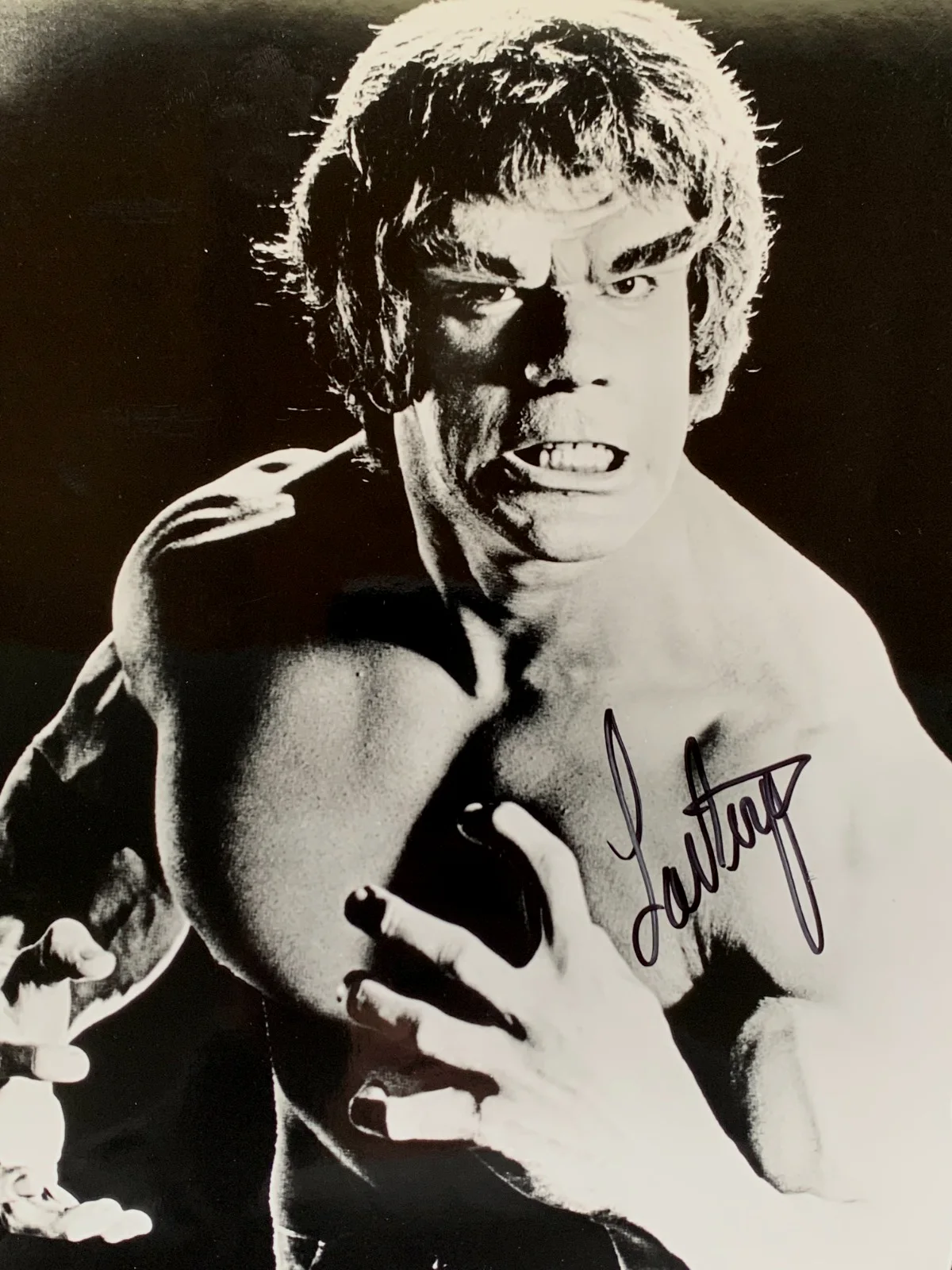 Lou Ferrigno — LOU FERRIGNO "Hulk" signed B&W photo, with COA, 8x10, изображение 4