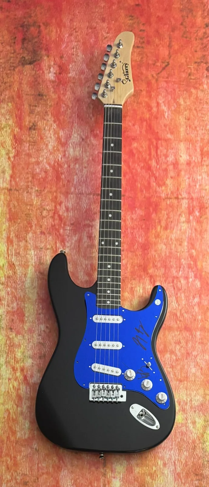 GFA Kenneth & Joey Duo * THE MILK CARTON KIDS * Signed Electric Guitar COA, изображение 3