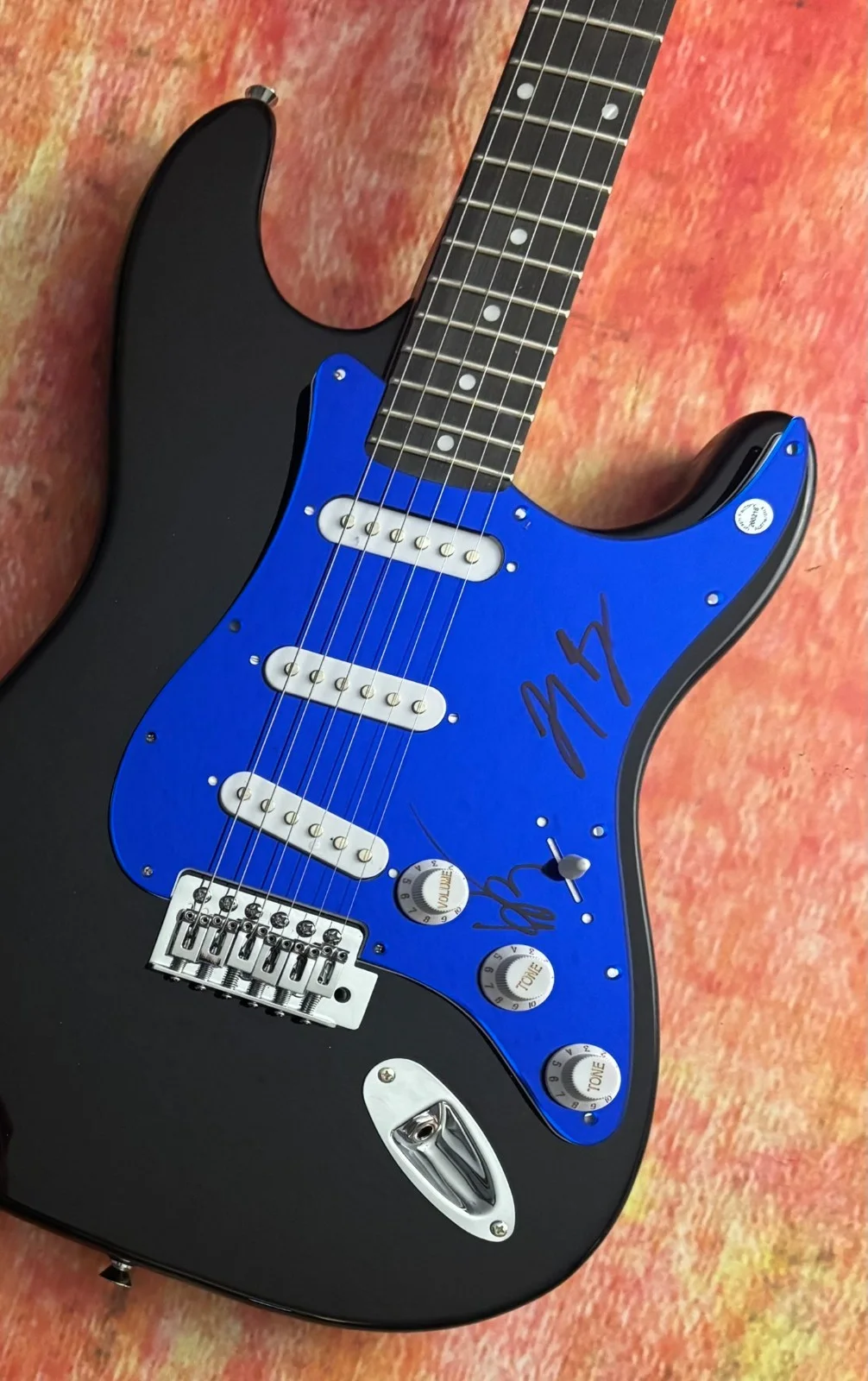 GFA Kenneth & Joey Duo * THE MILK CARTON KIDS * Signed Electric Guitar COA, изображение 4