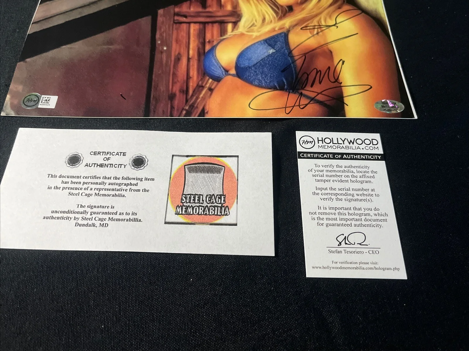 Torrie Wilson Signed 8x10 Photo WWE WWF DIVA Autographed COA Rare, image 5