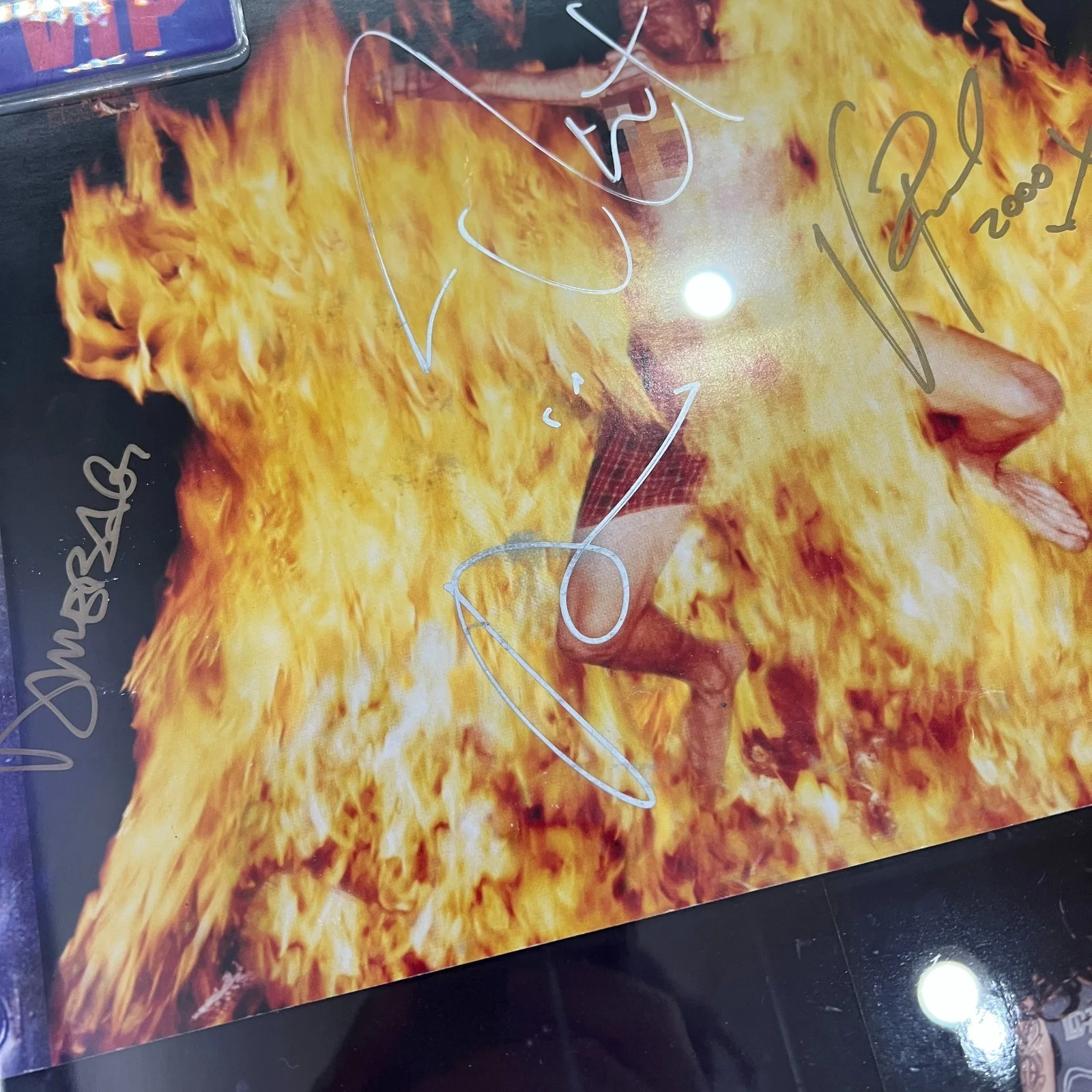 Pantera Signed Autographed Collage - Dimebag (x3) / Anselmo / Paul / Brown [JSA], image 5