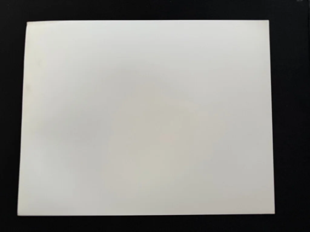 RARE A4 1987 Born on the Fourth of July B/W Press Scene Print (Tom Cruise), изображение 2