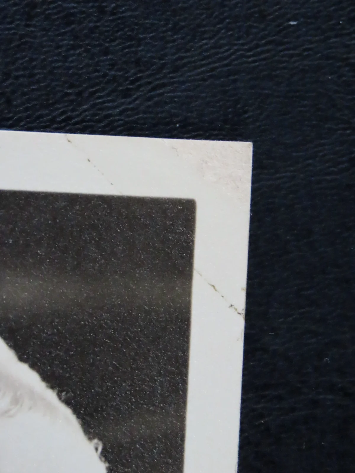 Lana Turner — READ Lana Turner Facsimile Signed Autograph 3.5x5 Photo Card 1940s or 1950s, image 2