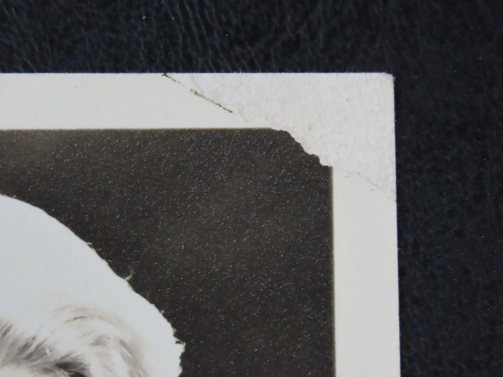 Lana Turner — READ Lana Turner Facsimile Signed Autograph 3.5x5 Photo Card 1940s or 1950s, image 3