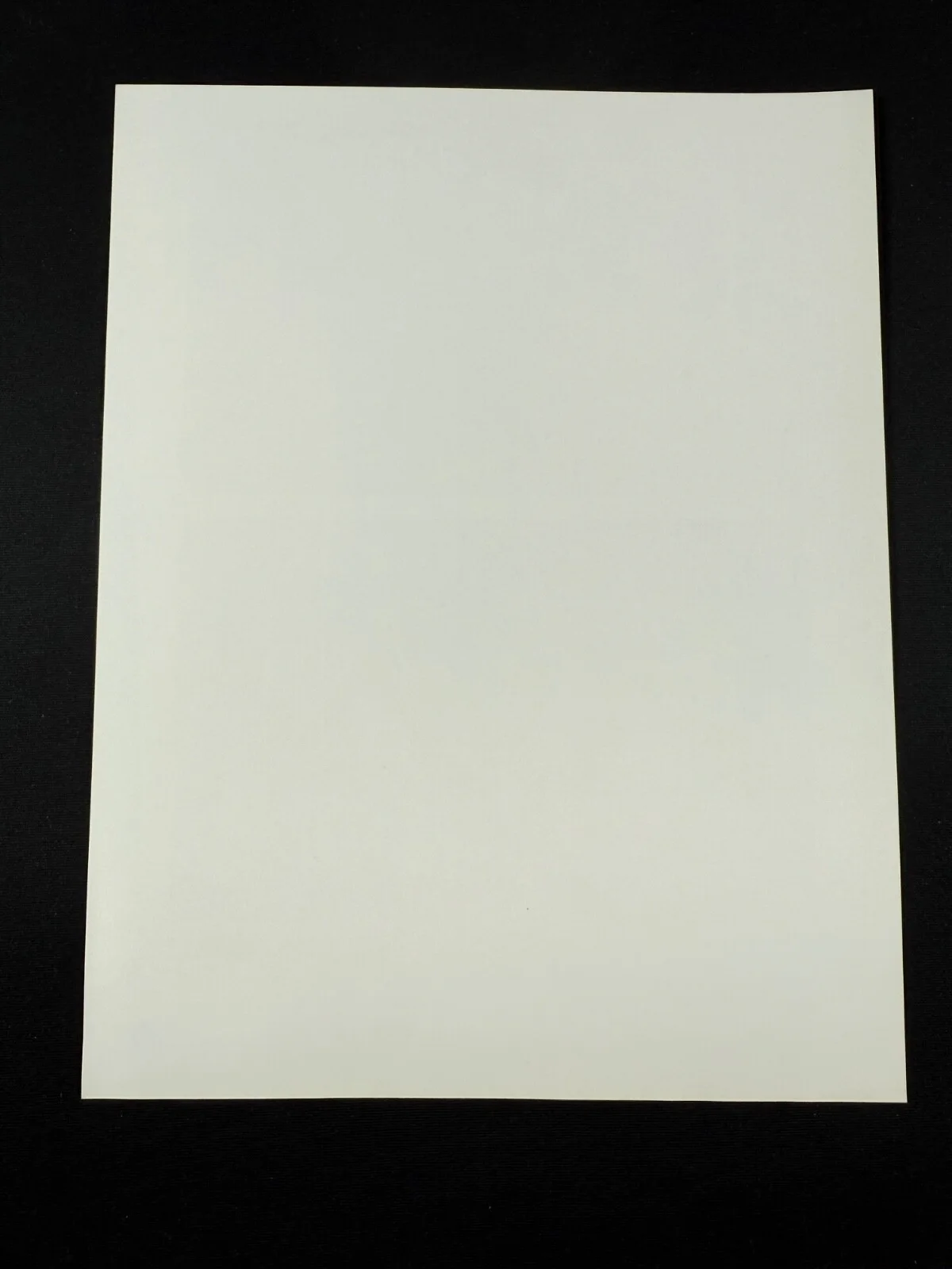 RARE A4 1988 Cocoon: the Return B/W Press Scene Print (Courteney Cox), image 2