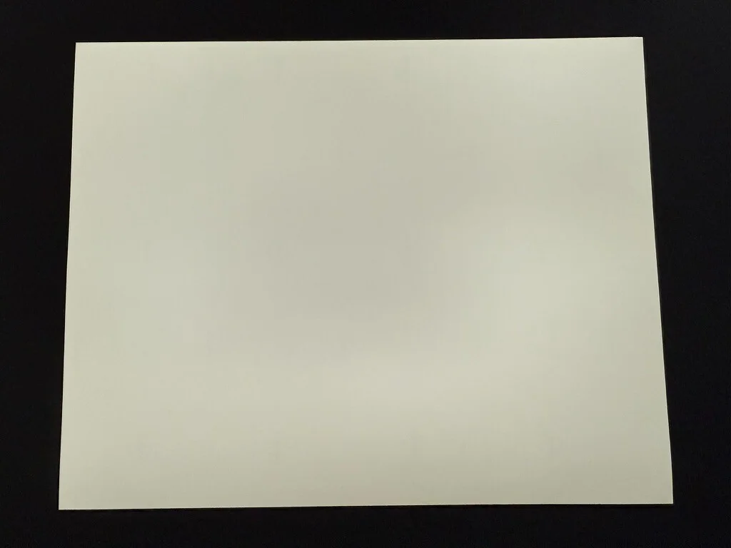 RARE A4 1990 Awakenings B/W Press Scene Print (Robin Williams & Robert de Niro), image 2