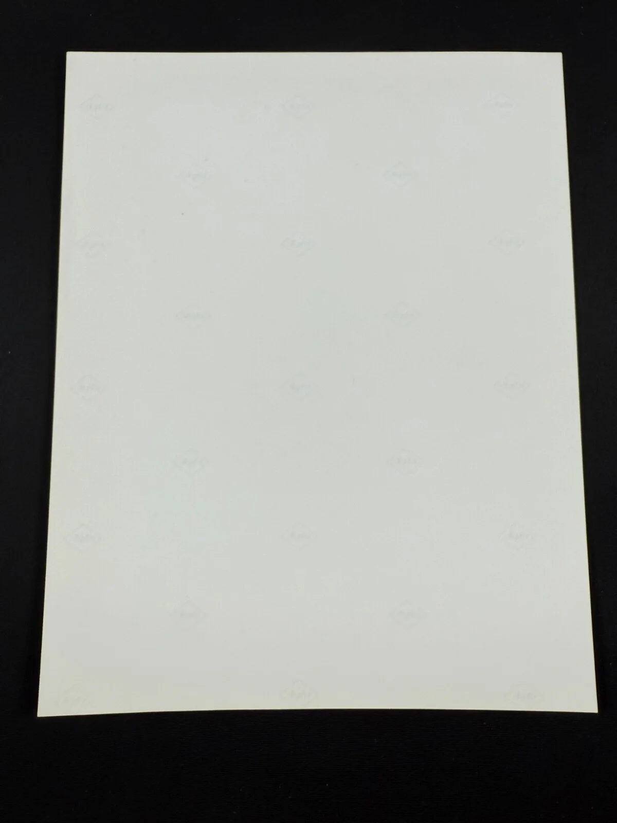 RARE A4 1992 Raising Cain B/W Press Scene Print (Director, Brian de Palma), изображение 2
