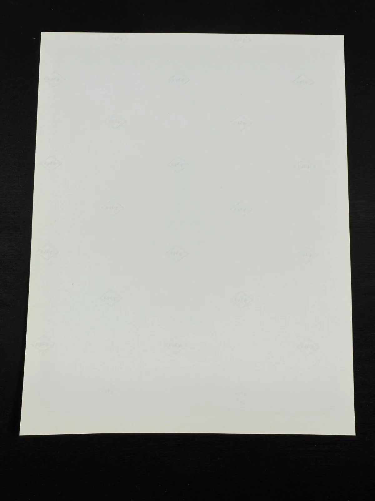 RARE A4 1992 Raising Cain B/W Press Scene Print (Steven Bauer), изображение 2