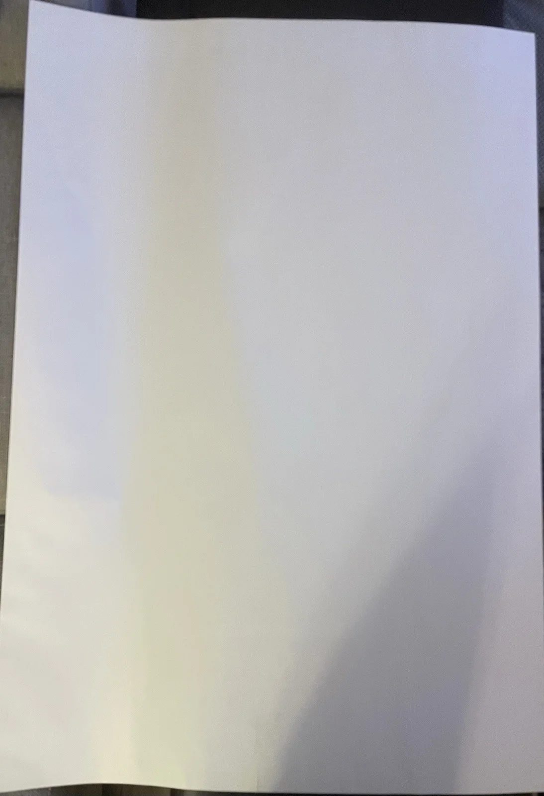Terminator 2 Judgement Day Signed Poster Schwarzenegger James Cameron COA, image 3