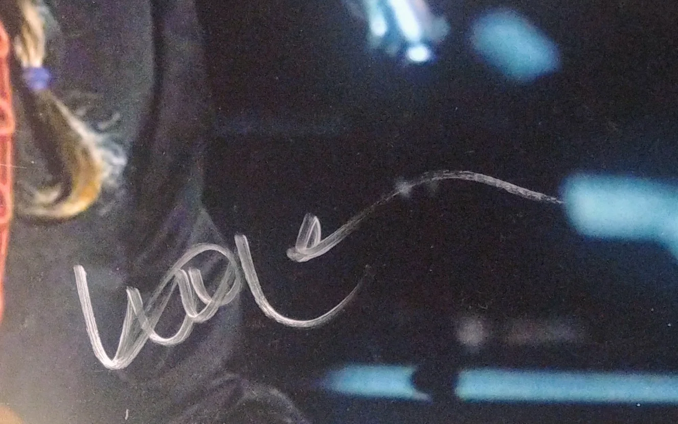Willie Nelson Hand Signed Autograph 11x14 Photo PSA COA - NO US TARIFFS, image 3