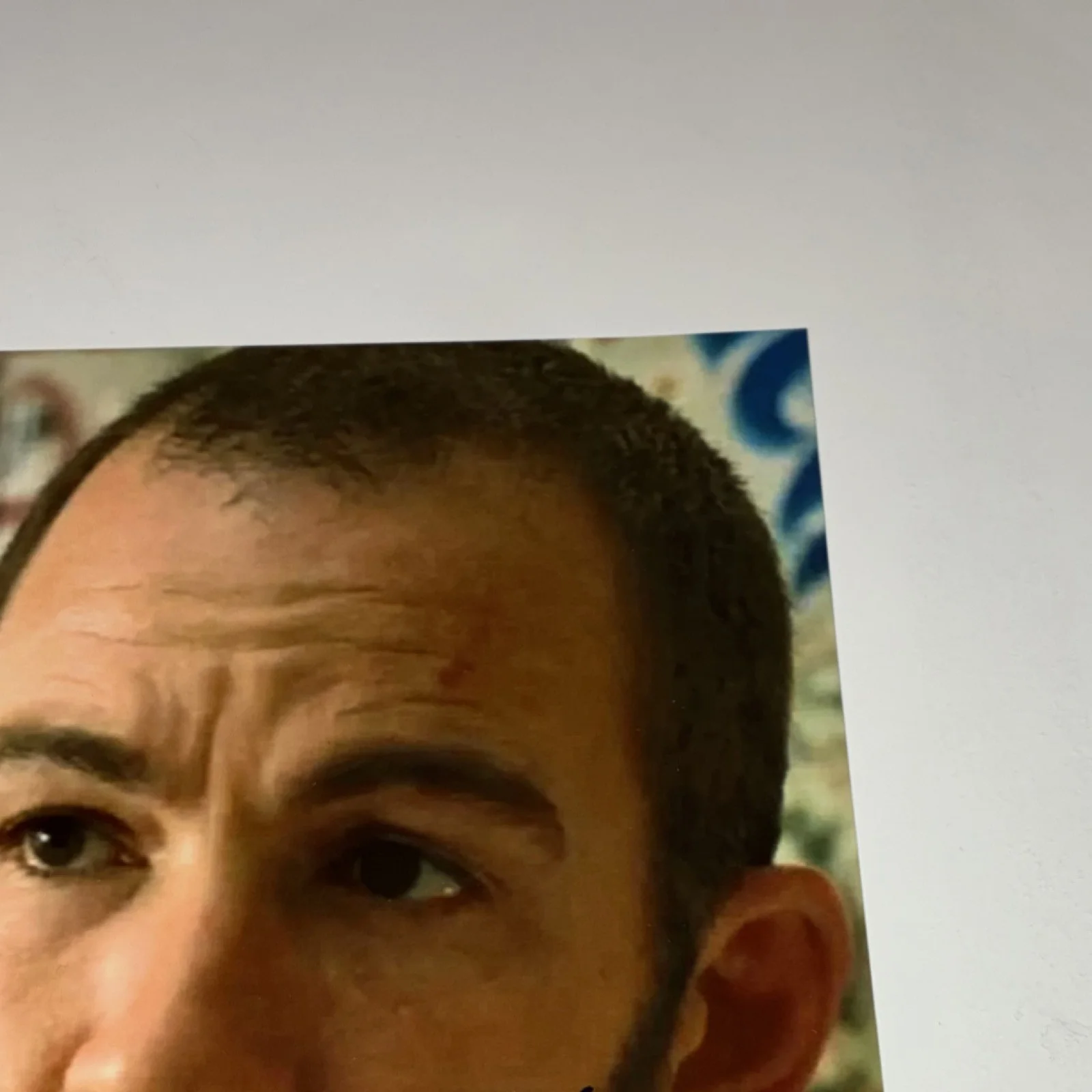 Bryan Callen The Hangover Eddie Palermos Actor Autographed 8x10 proof pic Signed, изображение 3