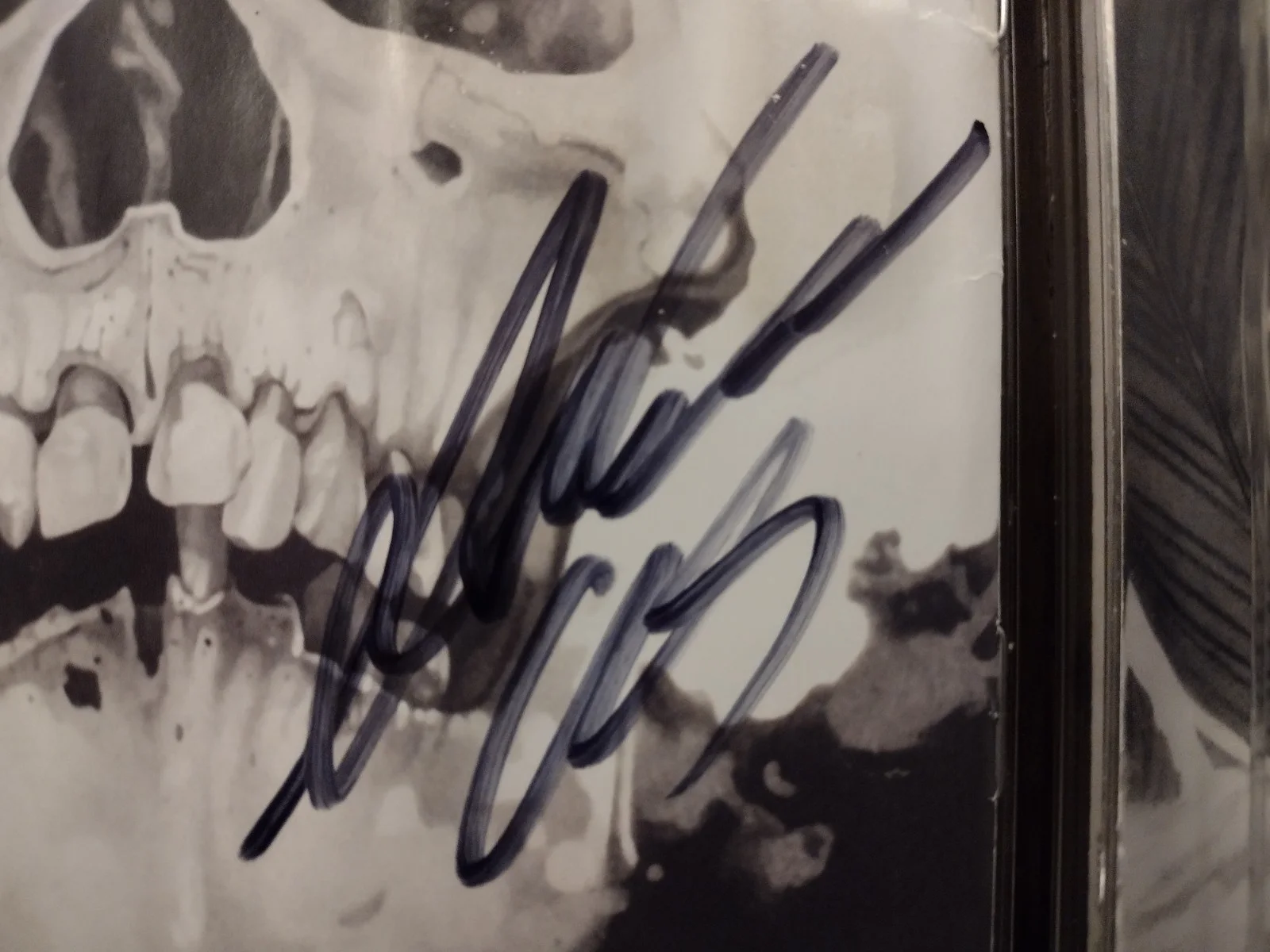 Signed Chelsea Grin Ashes To Ashes CD, image 2