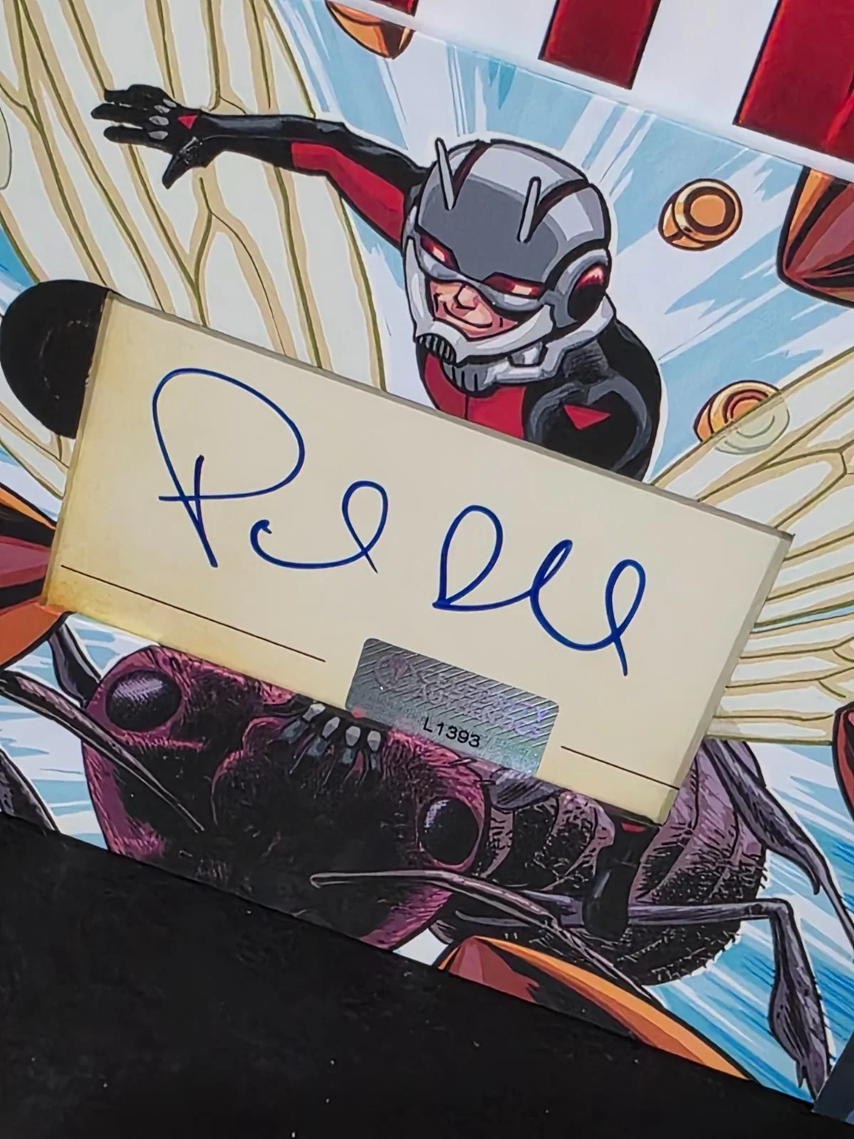 Paul Rudd — Paul Rudd - Ant-Man Custom Matted & Framed Signed/Autographed Photo, изображение 2