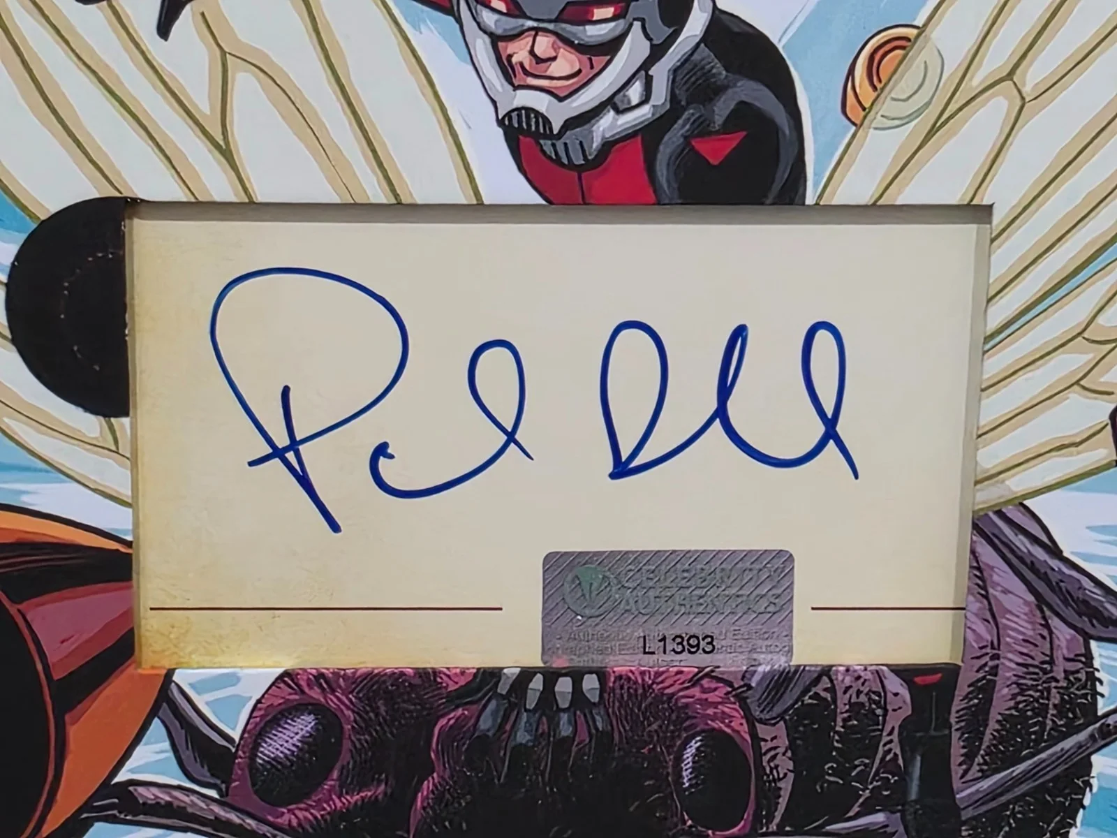 Paul Rudd — Paul Rudd - Ant-Man Custom Matted & Framed Signed/Autographed Photo, изображение 3