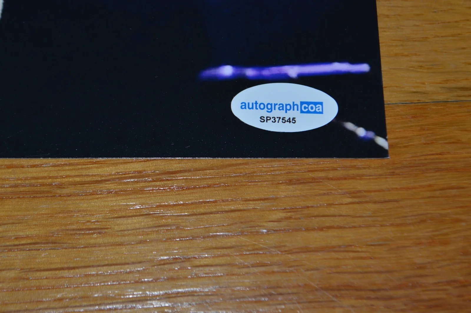 Weezer ~ Rivers Cuomo Autographed 8x10 Color Photo with AUTOGRAPH Hologram, изображение 3