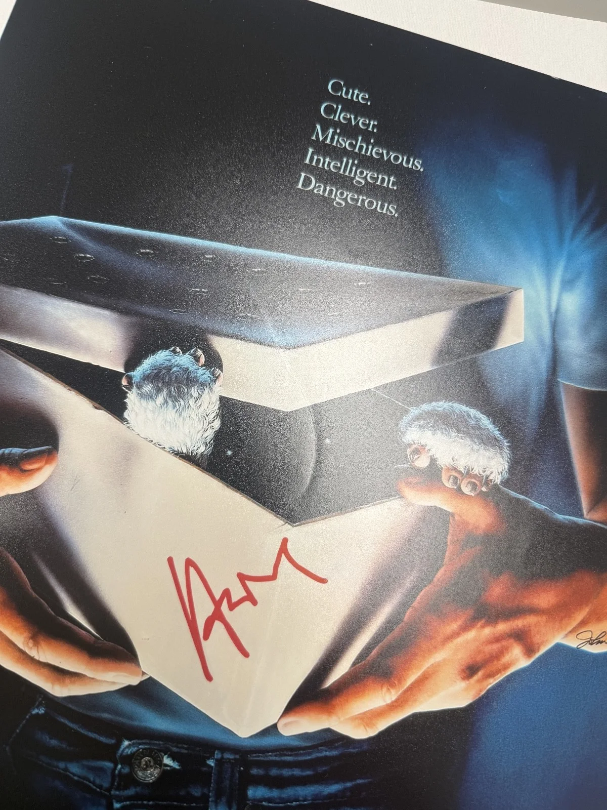 HOWIE MANDEL Authentic Hand Signed "GREMLINS" 11x17 PHOTO JSA COA, image 3