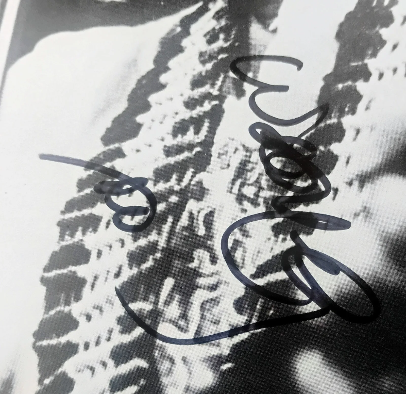 Willie Nelson Hand Signed Autograph 8x10 Pinup Photo PSA COA - NO US TARIFFS, изображение 3