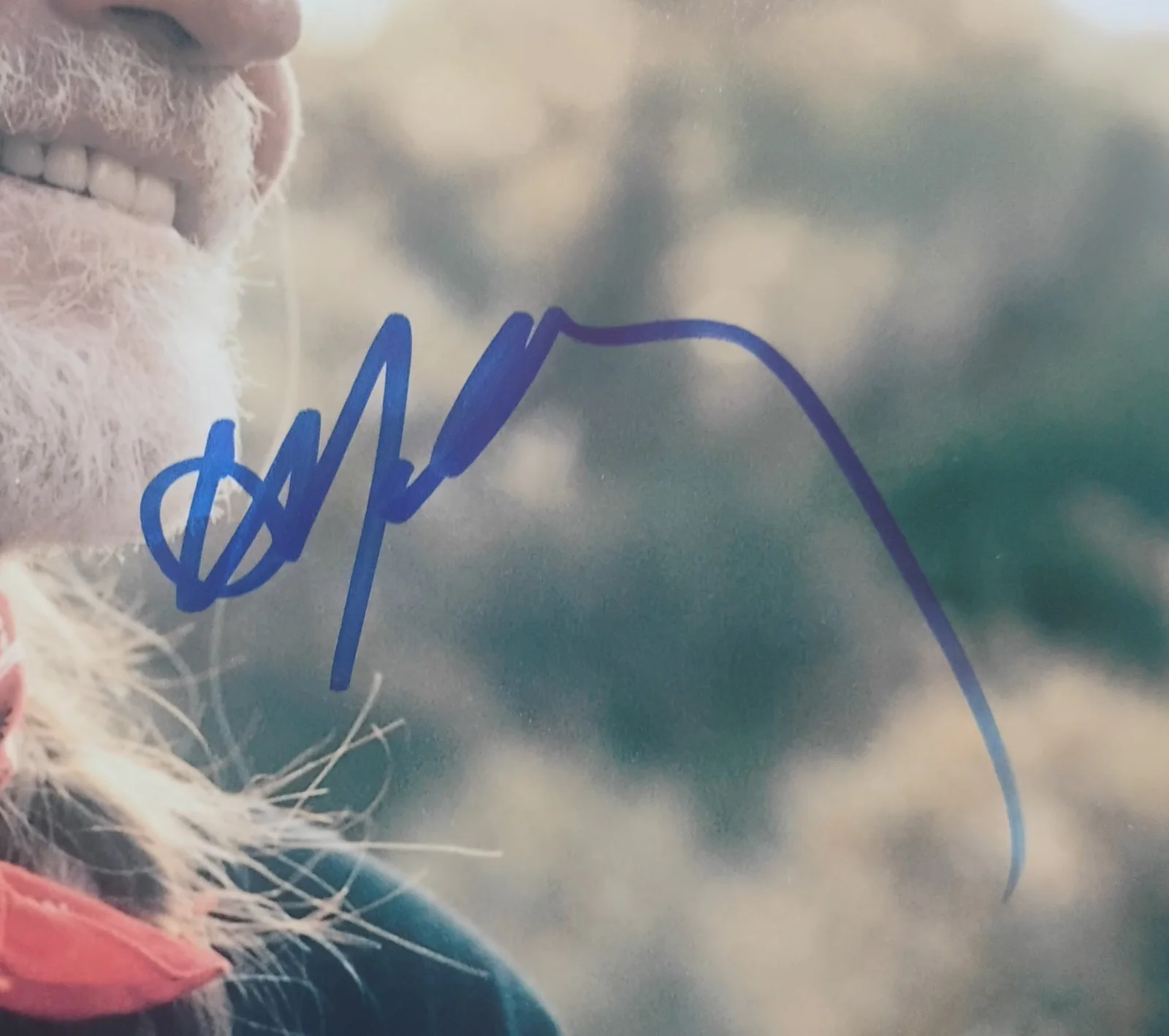 Willie Nelson Hand Signed Autograph 8x10 Photo JSA COA - NO US TARIFFS, image 3