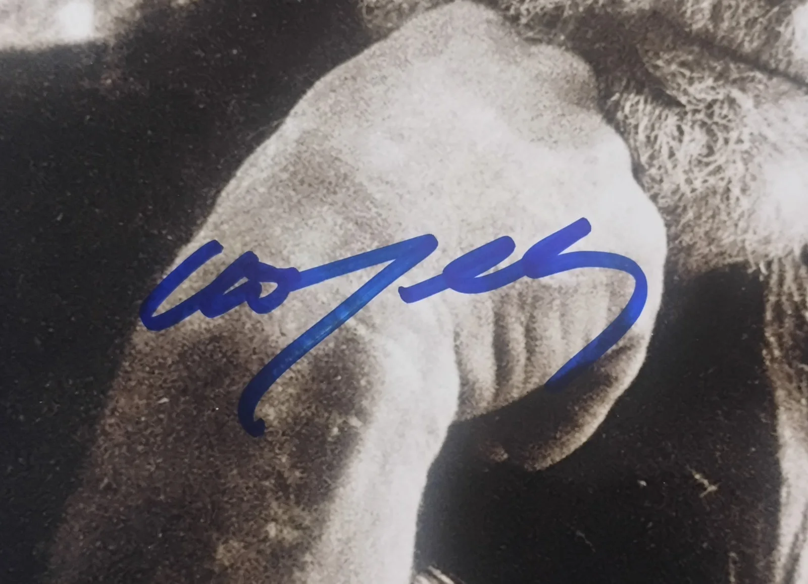 Willie Nelson Hand Signed Autograph 8x10 Photo COA - NO US TARIFFS, image 3