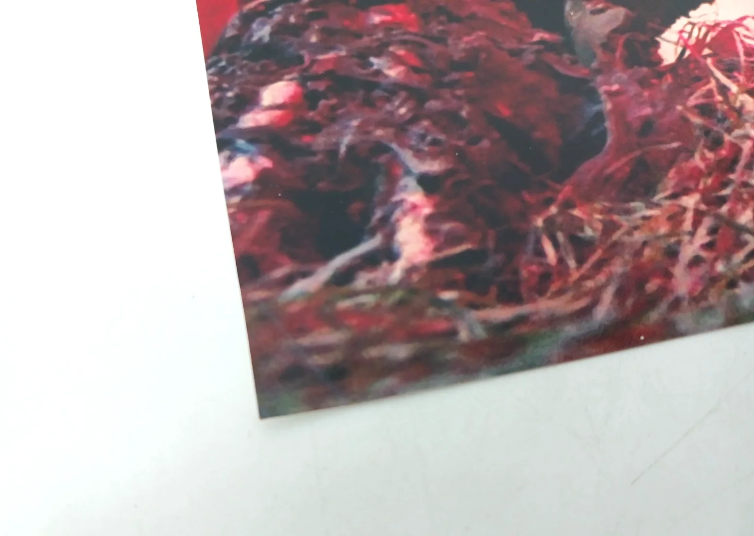 John Amplas — Creepshow John Amplas Signed Auto 8x10 Photograph with JSA Sticker, изображение 3