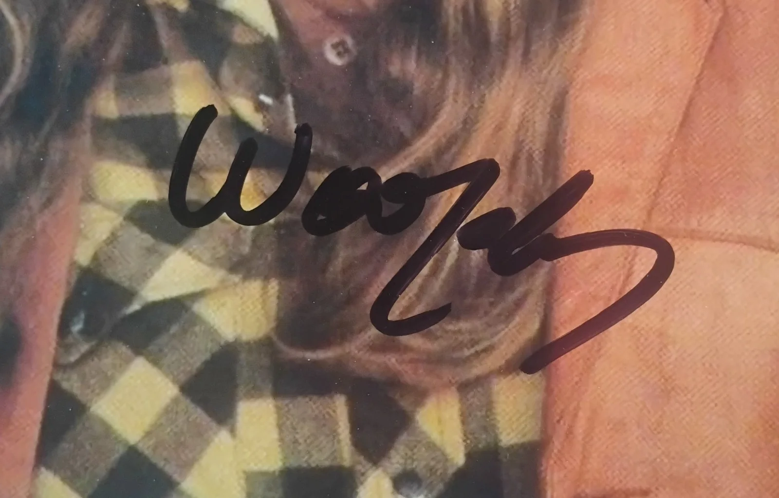 Willie Nelson Hand Signed Autograph 8x10 Photo COA - NO US TARIFFS, image 3