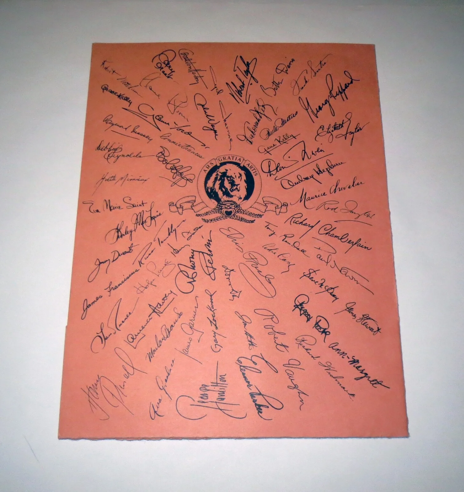 Barbara Metzger — MGM Studios Signed MOVIE STAR PORTFOLIO Poster BARBARA METZGER - PAUL NEWMAN, изображение 4