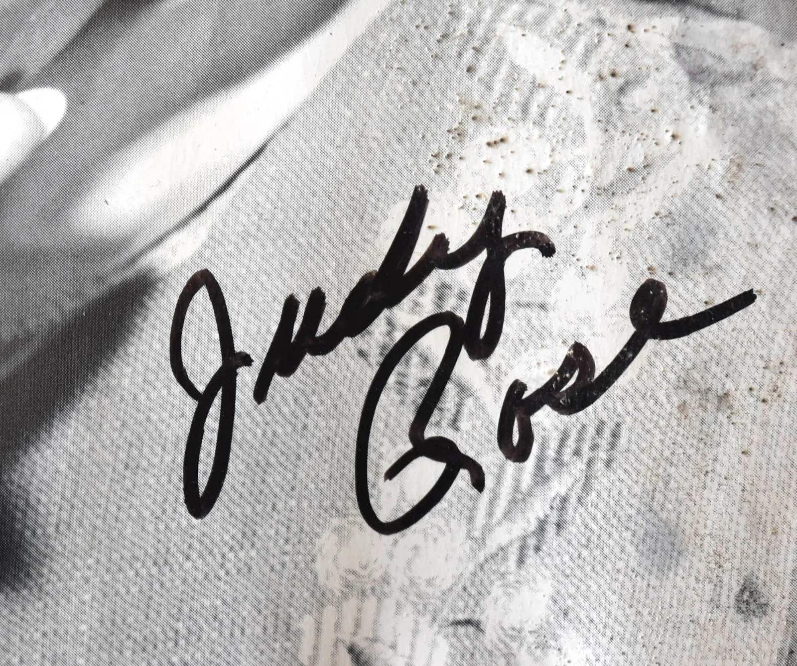 Judy Rose Hand Signed Paper 8"X10", image 2