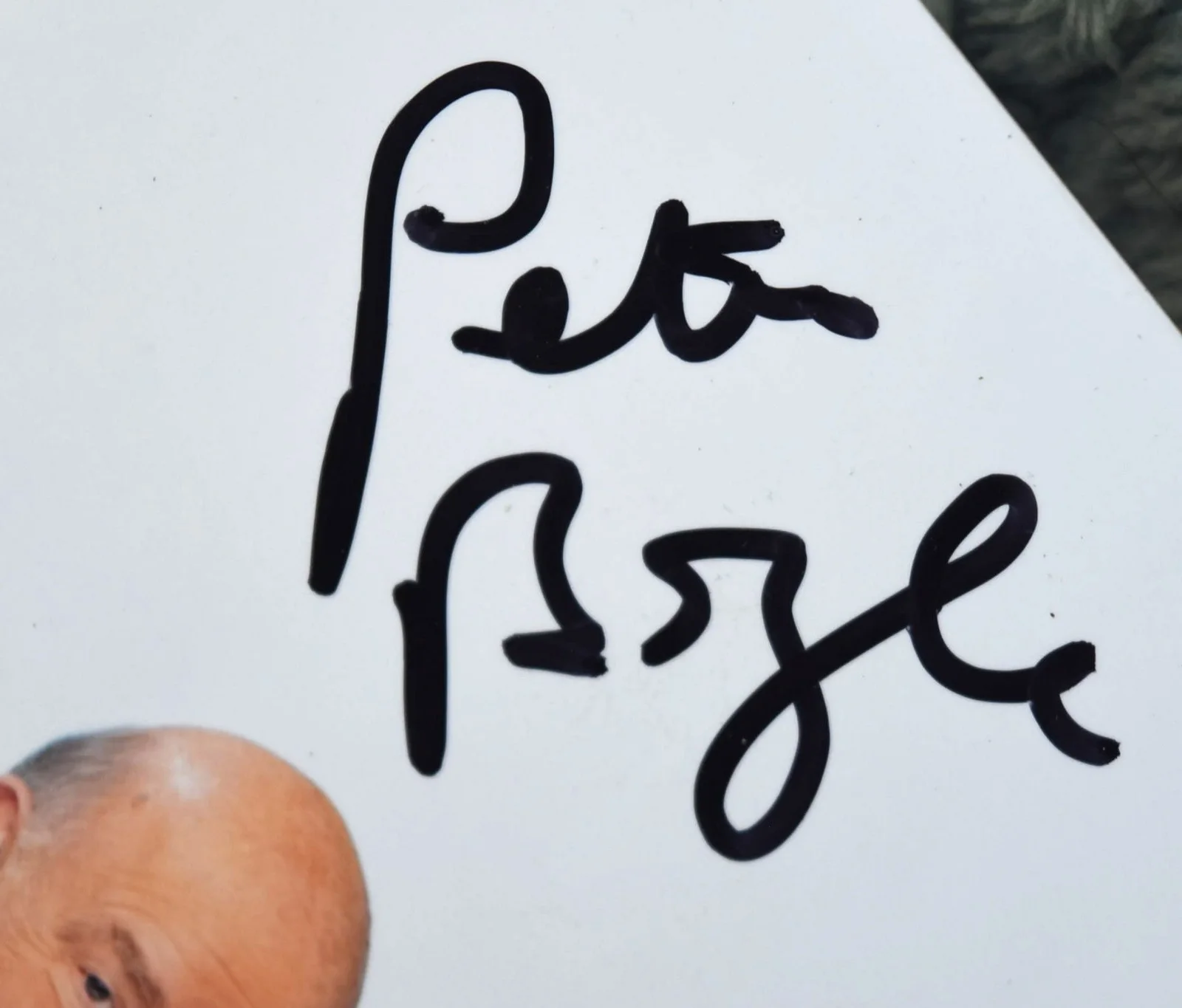 Everybody Loves Raymond Hand Signed Photo 8"X10", image 5