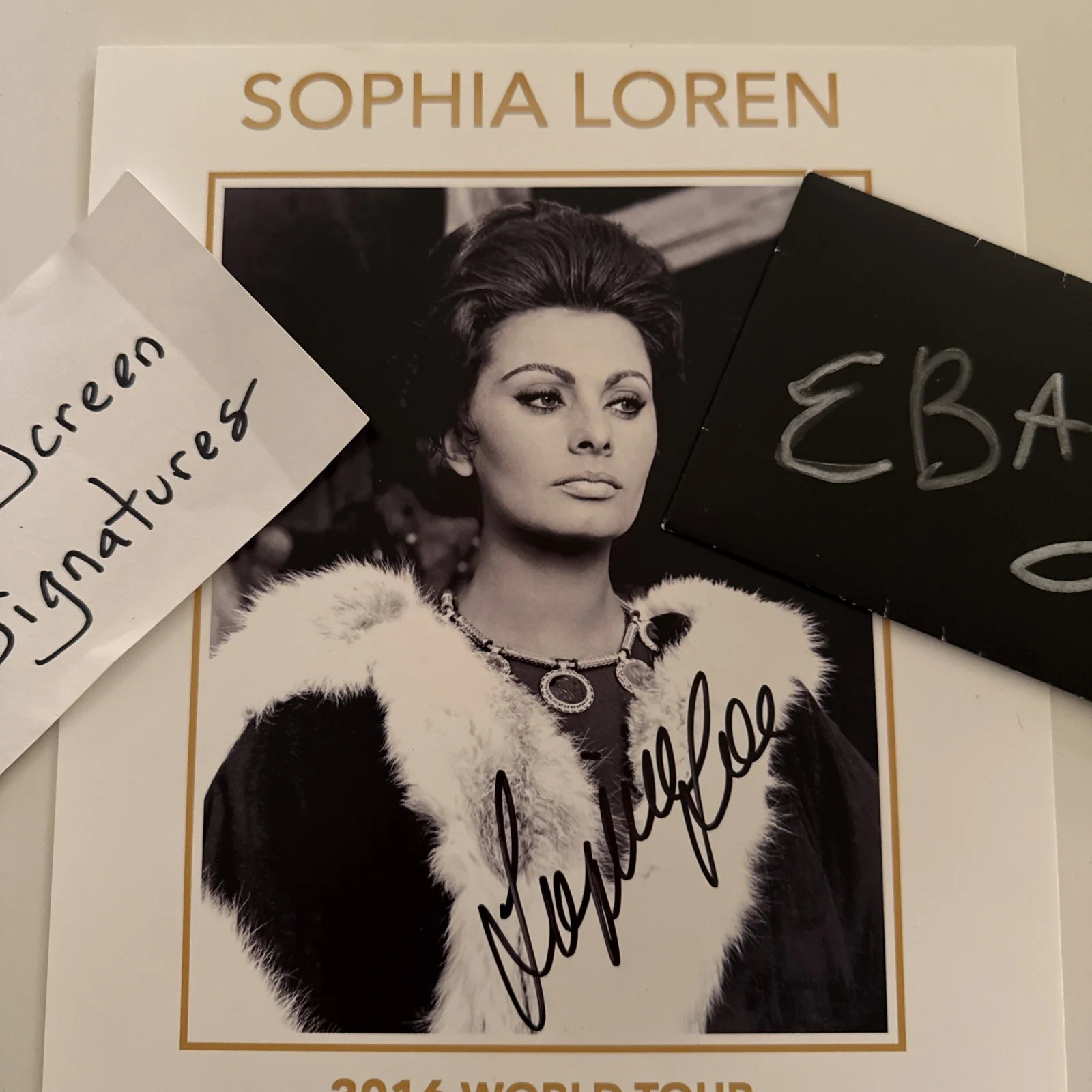 Sophia Loren — Sophia Loren SIGNED Autograph JSA COA Rare 1/100 World Tour Photo, изображение 5