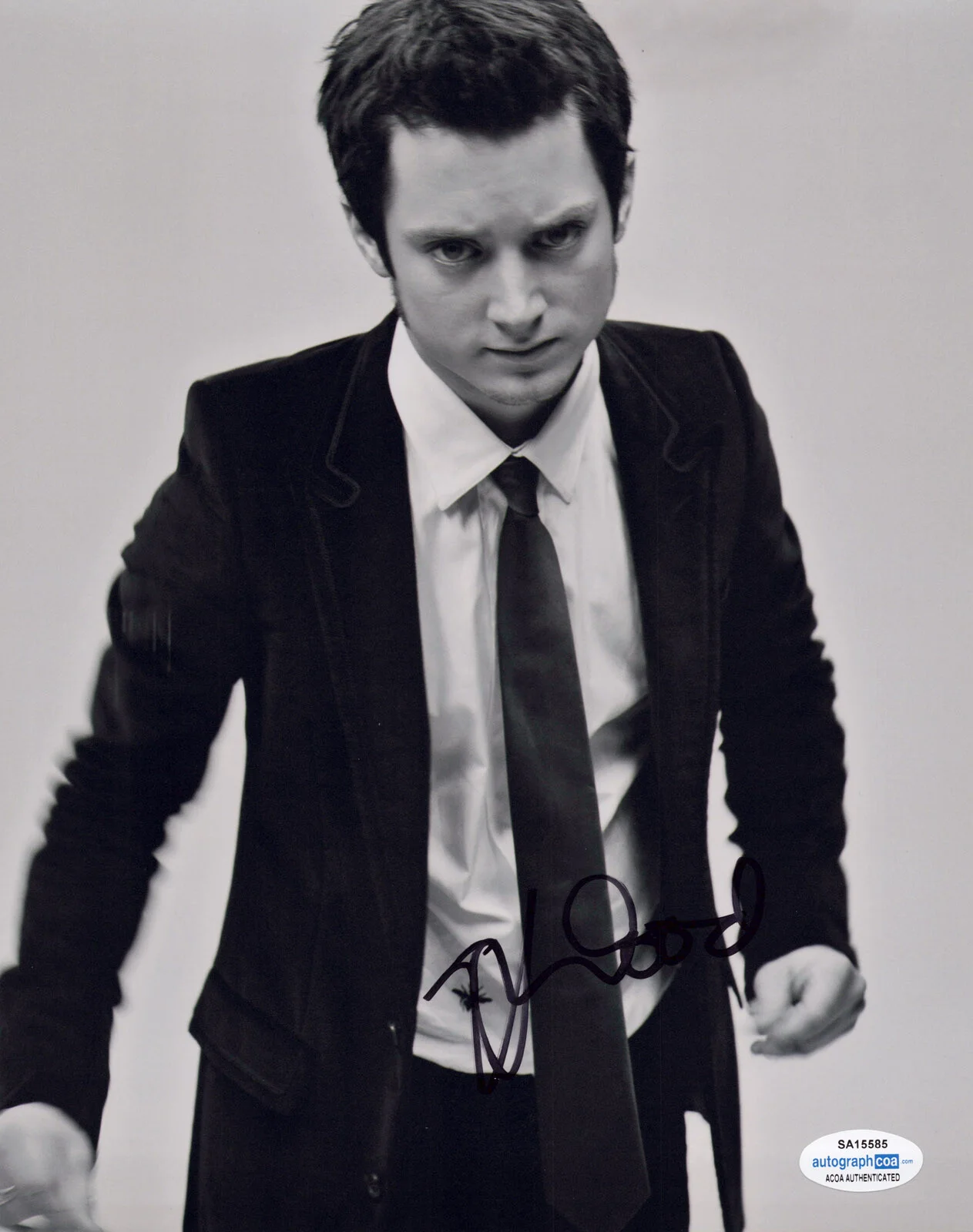 ELIJAH WOOD — Elijah Wood signed Auto 8x10 Photo a READY OR NOT Lord of The Rings ACOA COA, изображение 3