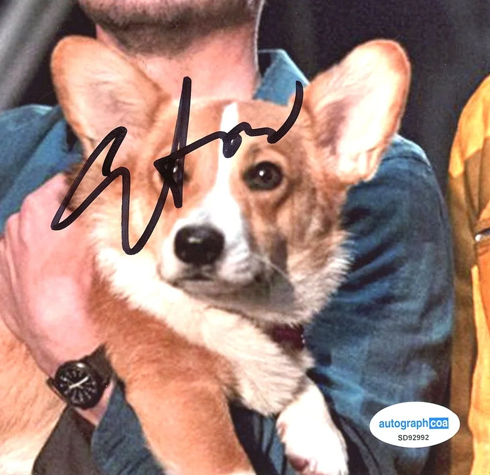 ELIJAH WOOD — Elijah Wood signed "DIRK GENTLY'S" 8x10 Photo EXACT PROOF a LOTR Todd ACOA COA, изображение 5