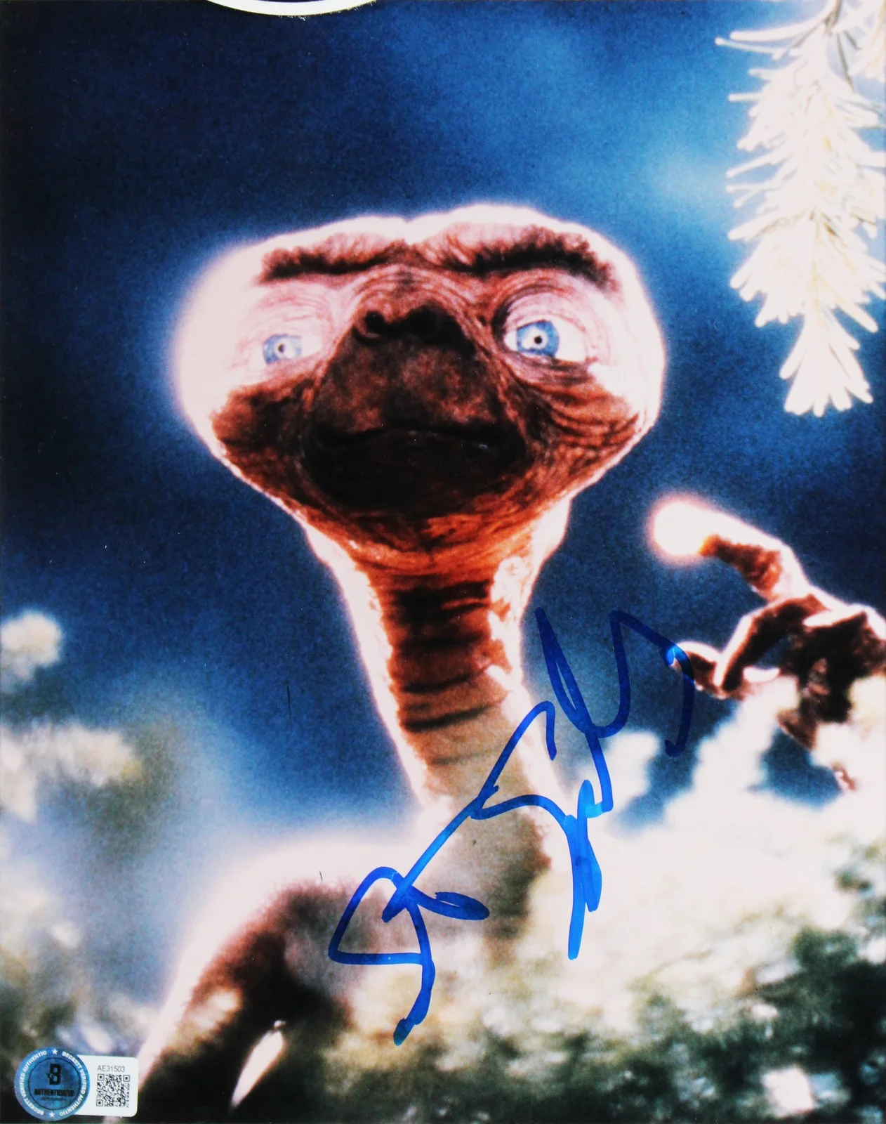 Steven Spielberg, Drew Barrymore, Elliott Thomas, Dee Wallace — E.T. (4) Spielberg, Barrymore, Thomas & Wallace Signed Framed Display BAS, image 3