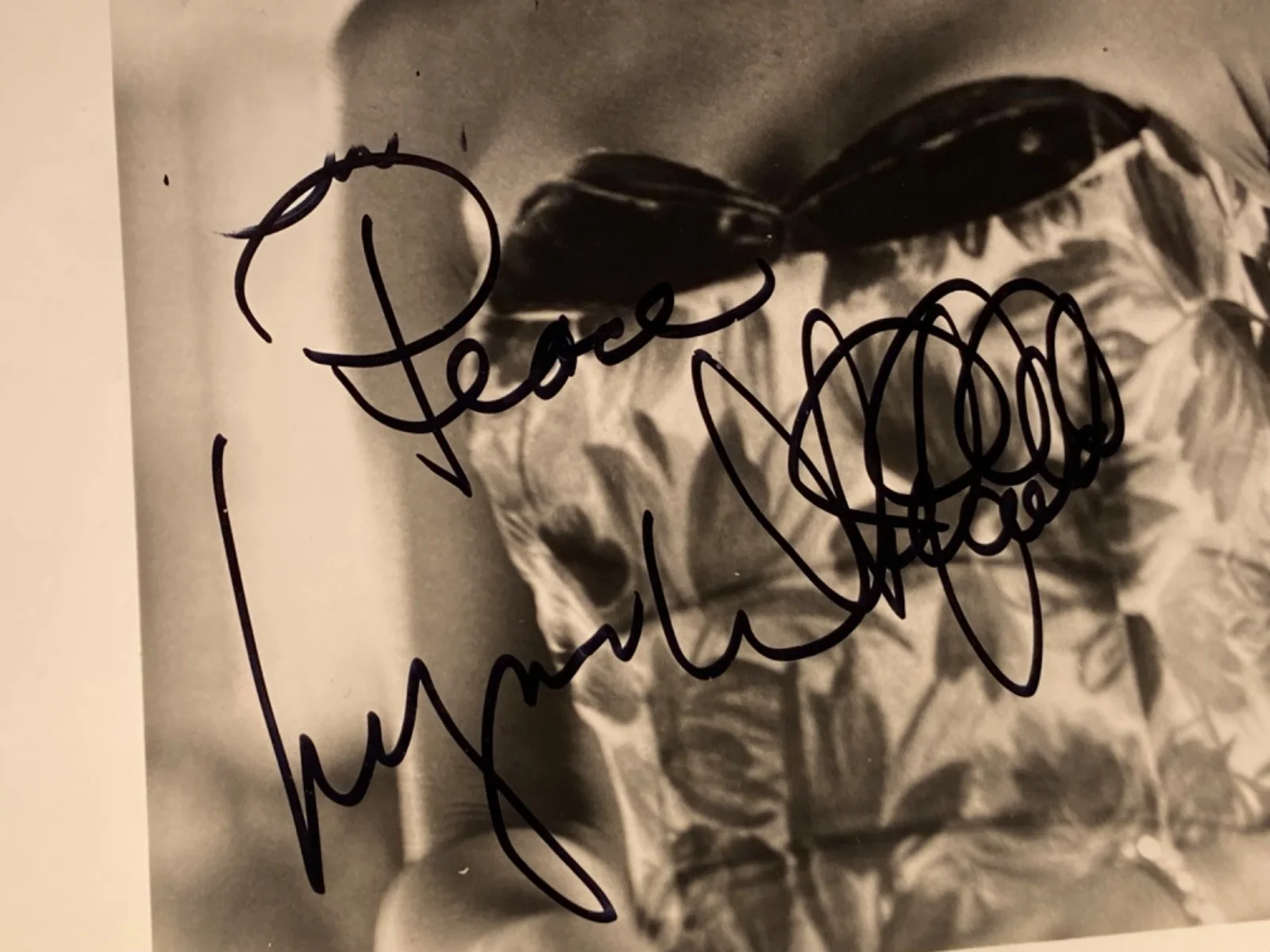 Hand SIGNED Lynn Whitfield 8x10 Press Photo - Eve's Bayou (Roz Batiste), изображение 3